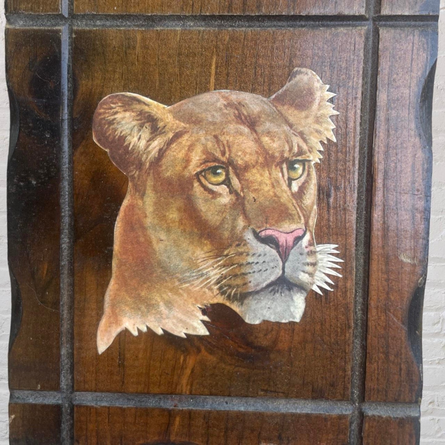 Vintage 70s Lioness Wall Art