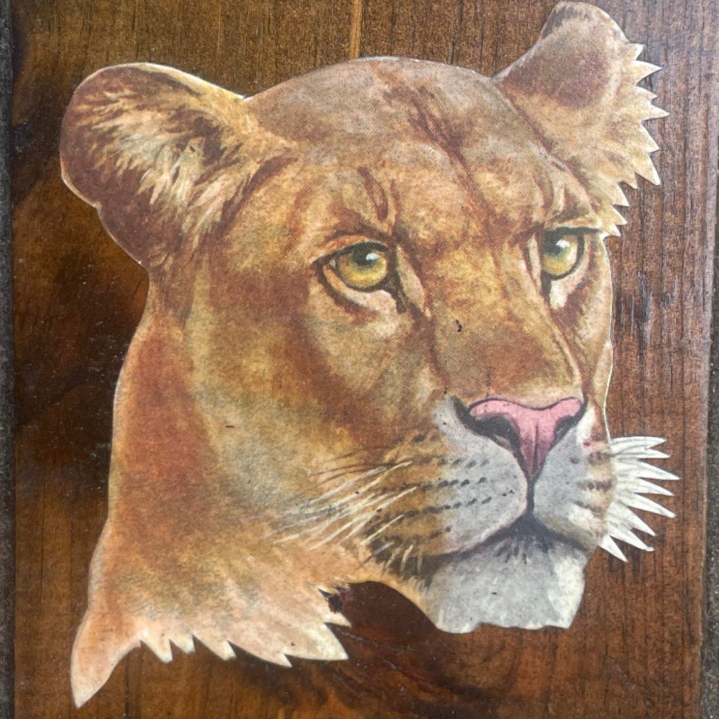 Vintage 70s Lioness Wall Art